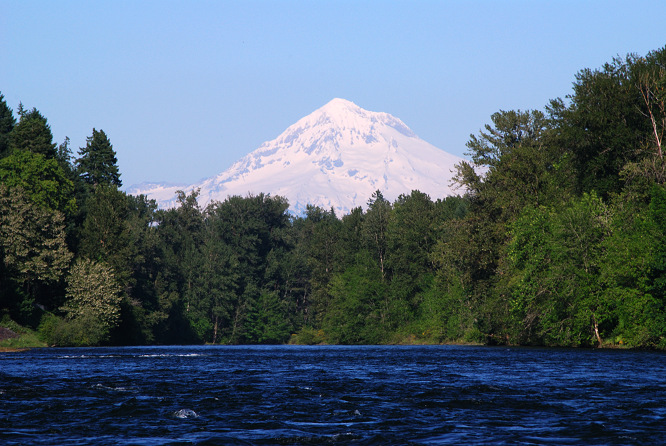 Mt . Hood