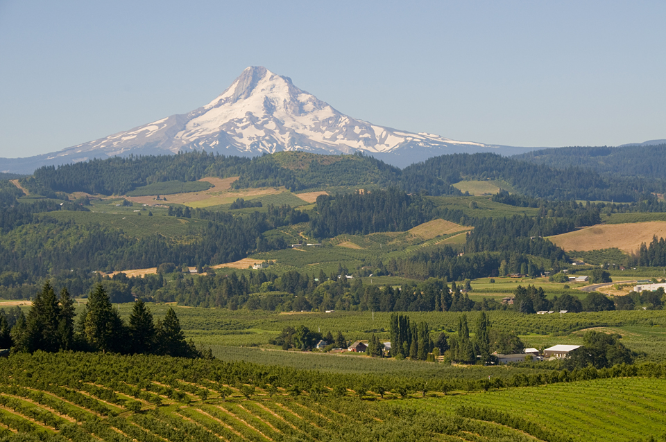 Mt Hood from Hood River region