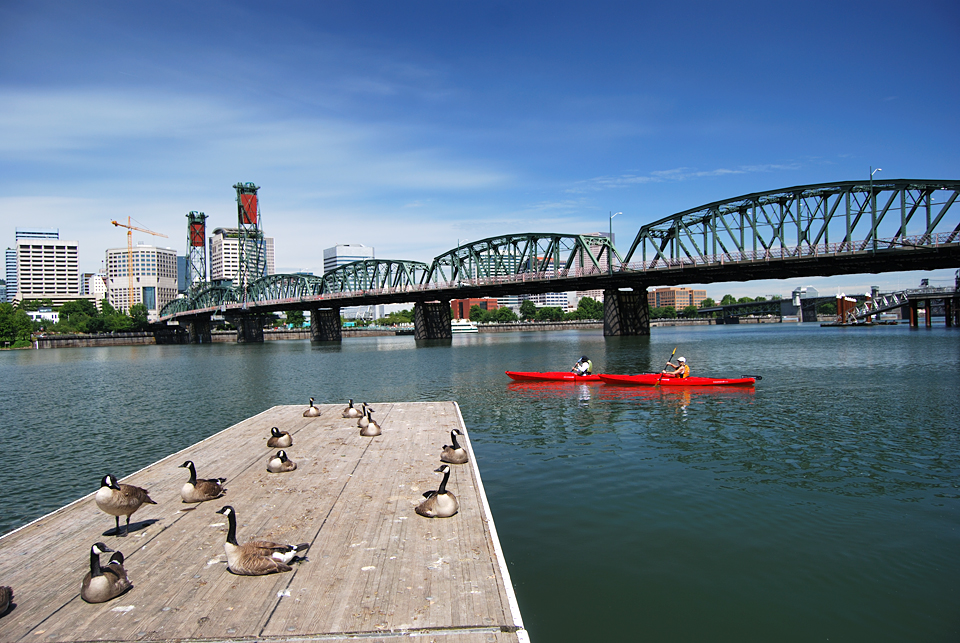 Kayaking Through downtown